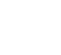 Vitzi